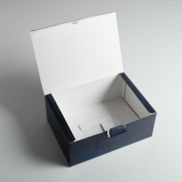 Коробка‒пенал, упаковка подарочная, &laquo;Something amazing&raquo;, 26 х 19 х 10 см