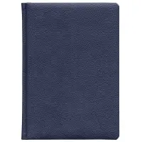 Ежедневник Sagrin, недатированный, темно-синий
