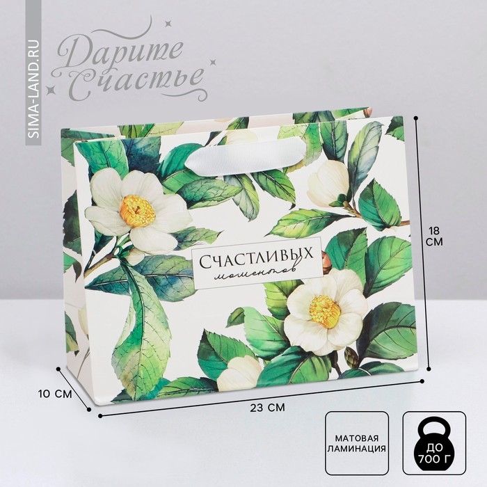 Пакет подарочный ламинированный горизонтальный, упаковка, &laquo;Счастливых моментов&raquo;, MS 23 х 18 х 10 см