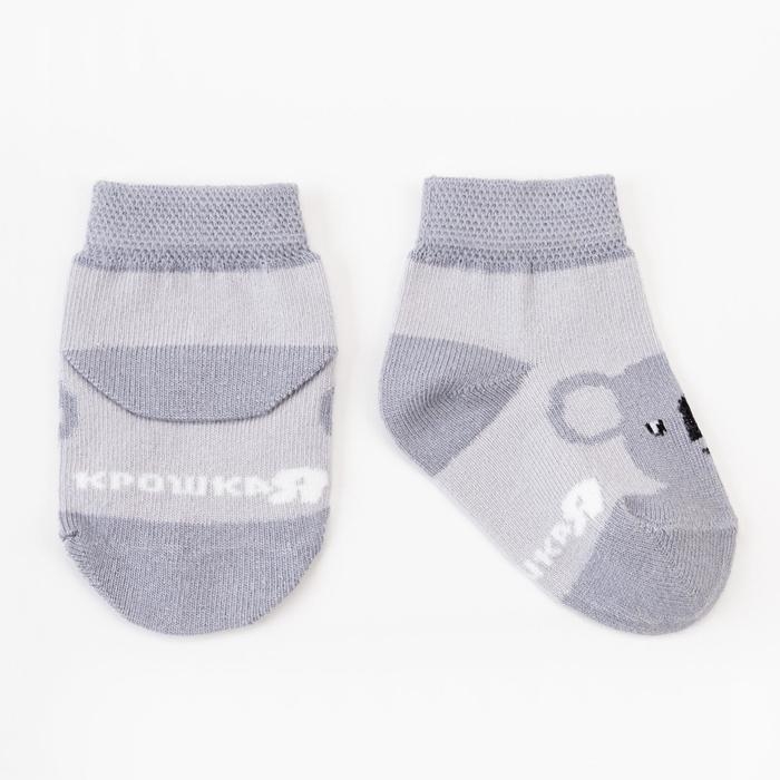 Набор носков Крошка Я &laquo;Коала&raquo;, 2 пары, 6-8