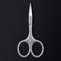 Ножницы маникюрные «Premium», загнутые, узкие, 9,5 см, на блистере, цвет серебристый Ножницы маникюрные «Premium», загнутые, узкие, 9,5 см, на блистере, цвет серебристый