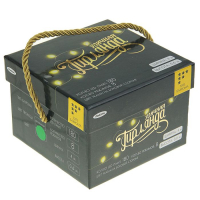 Гирлянда &laquo;Бахрома&raquo; 4 &times; 0.6 м, IP44, прозрачная нить, 180 LED, свечение зелёное, 8 режимов, 220 В