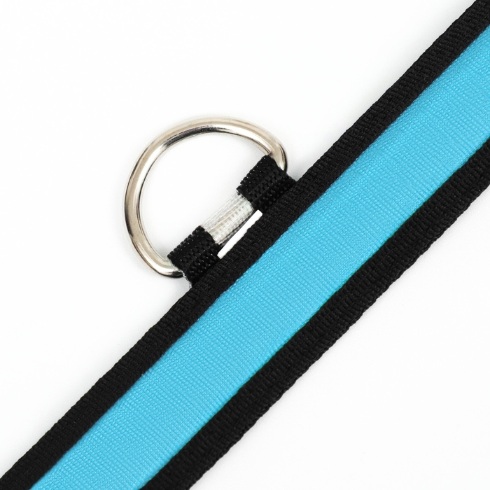 Ошейник с подсветкой Flash 3 режима свечения размер S, ОШ 35-43 х 2,5 см синий