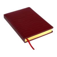 Ежедневник датированный 2024 A5 176 листов, deVENTE.Wild, твёрдая обложка из искусственной кожи, золотой срез, ляссе, кремовый блок 70 г/м2, бордовый