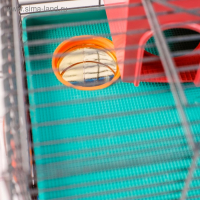 Клетка для грызунов Мини, двухъярусная, с полкой, домом и микс лабиринтов Клетка для грызунов Мини, двухъярусная, с полкой, домом и микс лабиринтов