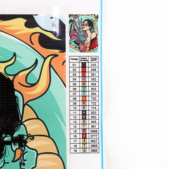 Алмазная мозаика с частичным заполнением &laquo;Девушка с драконом&raquo; без рамы 30х40 см