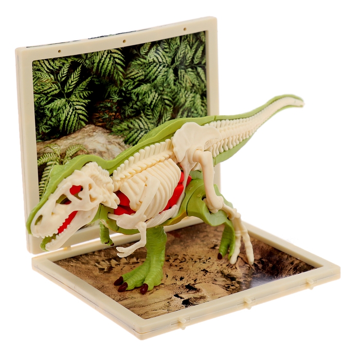 Набор для опытов &laquo;Диномир: Тираннозавр&raquo;, строение тела динозавра, 33 детали