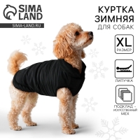 Одежда для собак. Куртка зимняя &laquo;Тёплая зима&raquo;, чёрная, размер XL