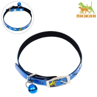 Ошейник "Верный пёс", 30 х 1 см, микс цветов Ошейник "Верный пёс", 30 х 1 см, микс цветов