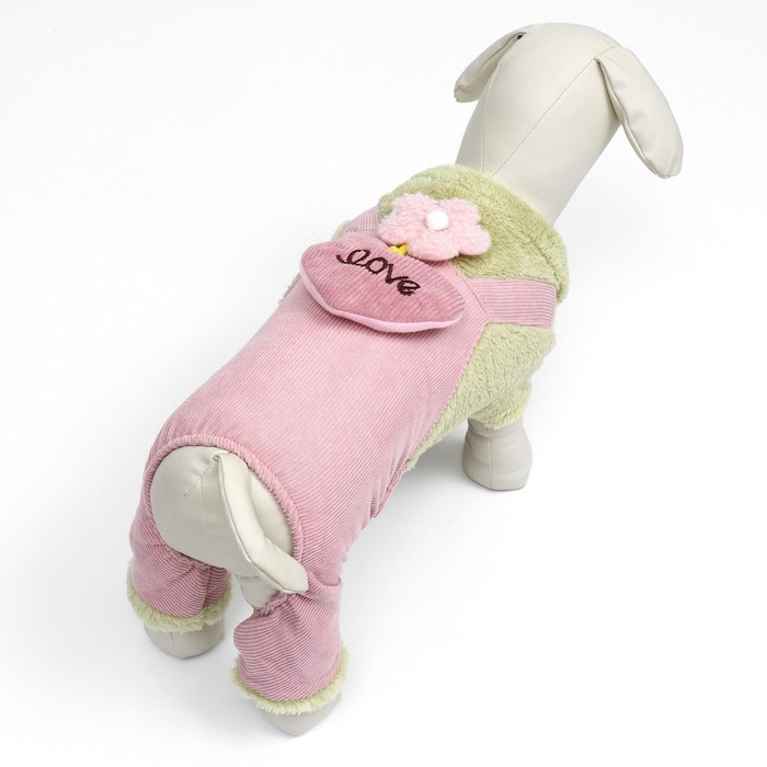 Комбинезон Комбинезон "Love", размер S (ДС 25 см, ОГ 35 см, ОШ 25 см), зелёный/розовый