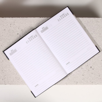 Новогодний подарочный набор косметики &laquo;Настоящему мужику&raquo;, гель для душа во флаконе виски 250 мл и ежедневник, Новый Год