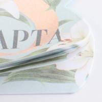 Набор: бумажные стикеры 20 л + 5 наклеек &laquo;8 марта лилии&raquo;