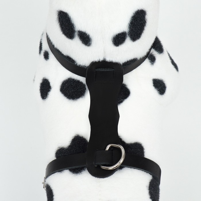 Шлейка кожаная однослойная "Люкс", ОШ 26-34 см, ОГ 36-44 см, ширина 1,1 см, чёрная