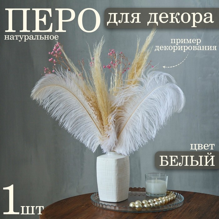 Перо для декора, размер: 30-35 см, цвет белый Перо для декора, размер: 30-35 см, цвет белый