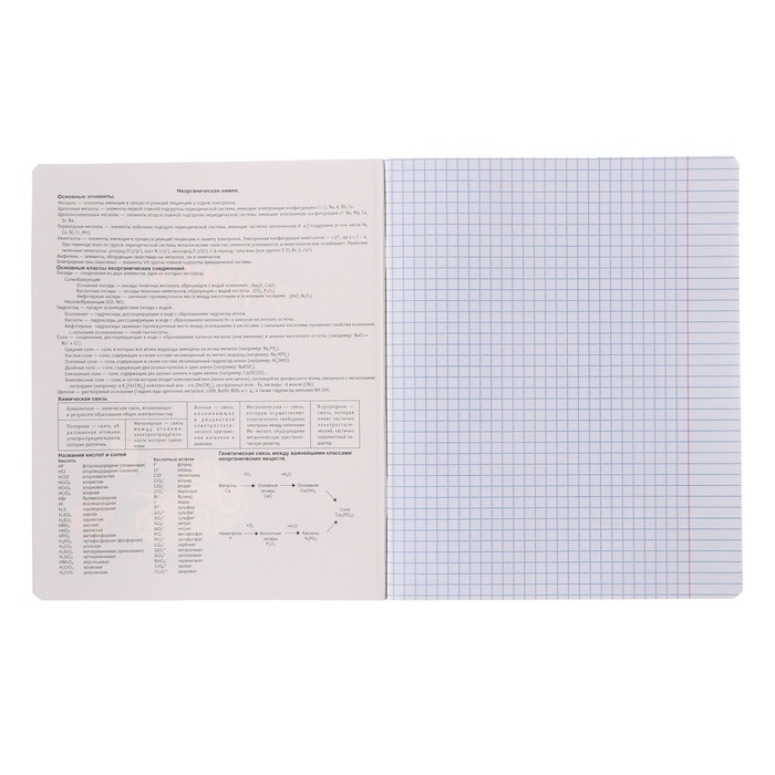 Тетрадь предметная "Пёс и Кот" 48 листов в клетку "Химия", обложка мелованный картон, металлизированная краска, ВД-лак, блок офсет