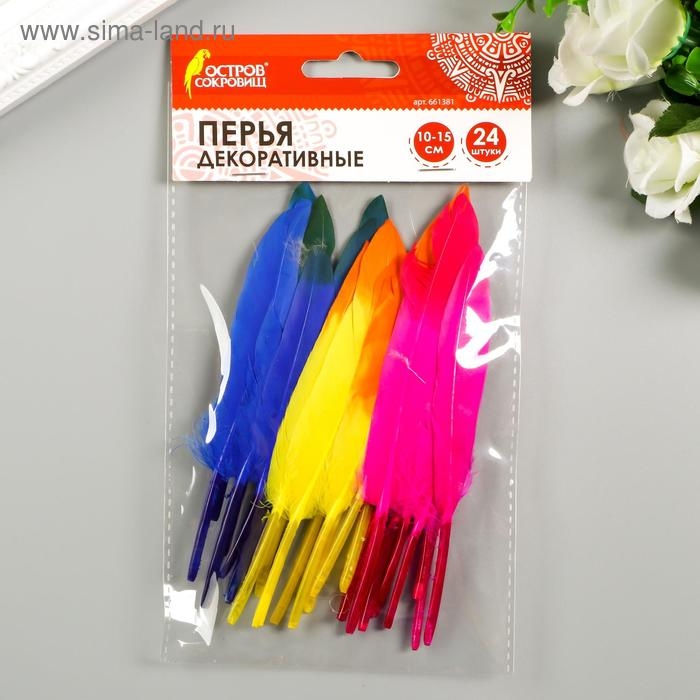 Перья декоративные прямые, 10-15 см (набор 24 шт) 6 цветов, двухцветные, ассорти Перья декоративные прямые, 10-15 см (набор 24 шт) 6 цветов, двухцветные, ассорти