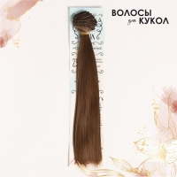 Волосы - тресс для кукол &laquo;Прямые&raquo; длина волос: 25 см, ширина:100 см, цвет № 12