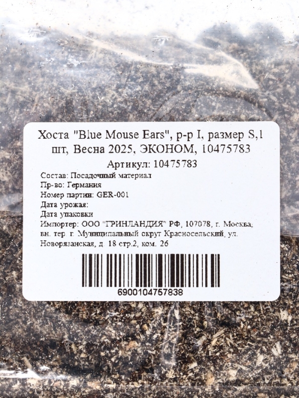 Хоста "Blue Mouse Ears", р-р I, размер S,1 шт, Весна 2025, ЭКОНОМ,