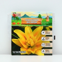 Лилия Махровая Fata Morgana, луковица в пакете с перфорацией, р-р 12/14, 2 шт.