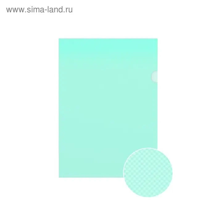 Папка-уголок А4, 160 мкм, ErichKrause Glossy Classic, прозрачная, микс