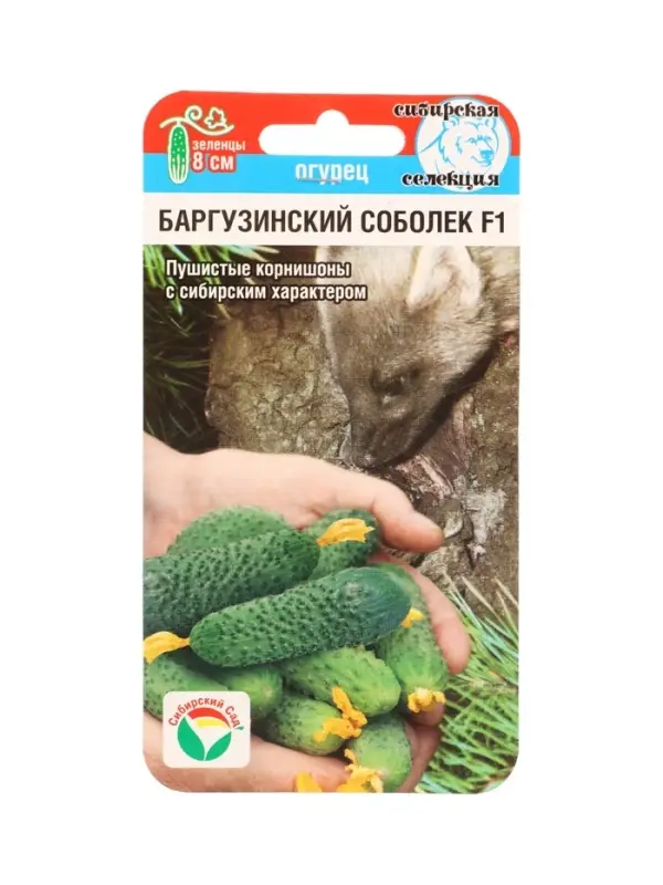 Семена Огурец БАРГУЗИНСКИЙ СОБОЛЕК F1 7шт
