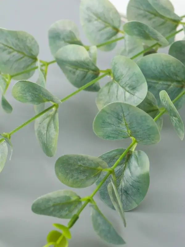 Цветы искусственные &laquo;Эвкалипт шёлковый&raquo;, h=80 см, зелёные