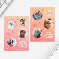 Набор блокнот А6, 32 листа, наклейки, магнитные закладки &laquo;Милый котенок&raquo;