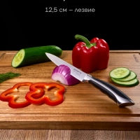 Набор кухонных ножей из 3 предметов Millennium 3SS