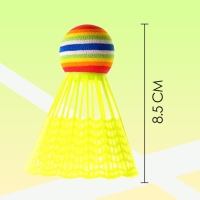 Набор ракеток &laquo;Отбей мяч&raquo;: 2 ракетки, 1 мяч, 1 волан