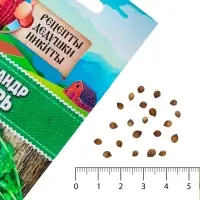 Семена Кориандр "Янтарь", 5 г