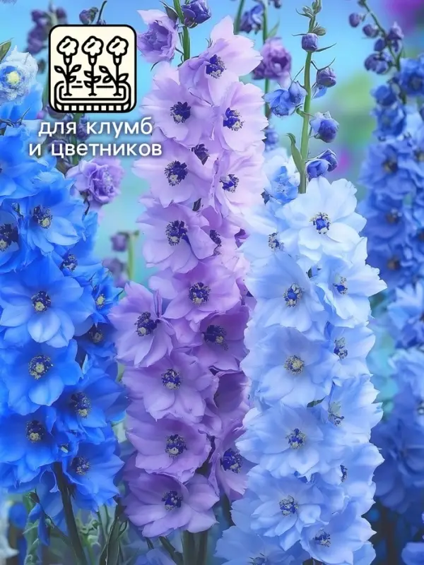 Семена цветов Дельфиниум "Гроздь Сапфиров", 0,2 г