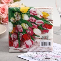 Салфетки бумажные New line FRESCO &laquo;Тюльпаны&raquo;, 2 слоя, 33*33 см, 20 шт.