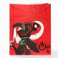 Набор крафтовых пакетов со стикерами, Человек-паук, 18х22х12 см