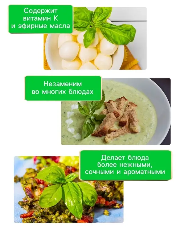 Семена Базилик "Зеленый ароматный", 0,1 г