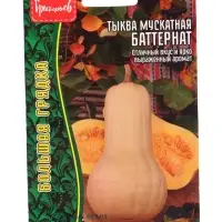 Семена Тыква Баттернат мускатная   5шт.  12.29 г.