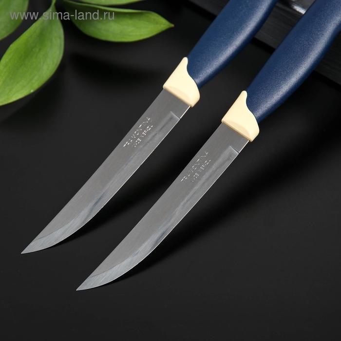 Набор кухонный ножей для мяса TRAMONTINA Multicolor, 2 шт, лезвие 12,7 см Набор кухонный ножей для мяса TRAMONTINA Multicolor, 2 шт, лезвие 12,7 см