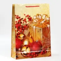 Пакет подарочный новогодний ламинированный &laquo;Поздравляю&raquo;, L 28 х 38 х 9 см