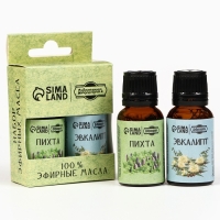 Набор эфирных масел пихта, эвкалипт, "Добропаровъ", 2 шт по 17 мл Набор эфирных масел пихта, эвкалипт, "Добропаровъ", 2 шт по 17 мл