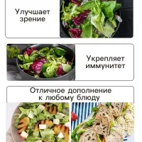 Семена Салат листовой "Московский парниковый", 0,5 г