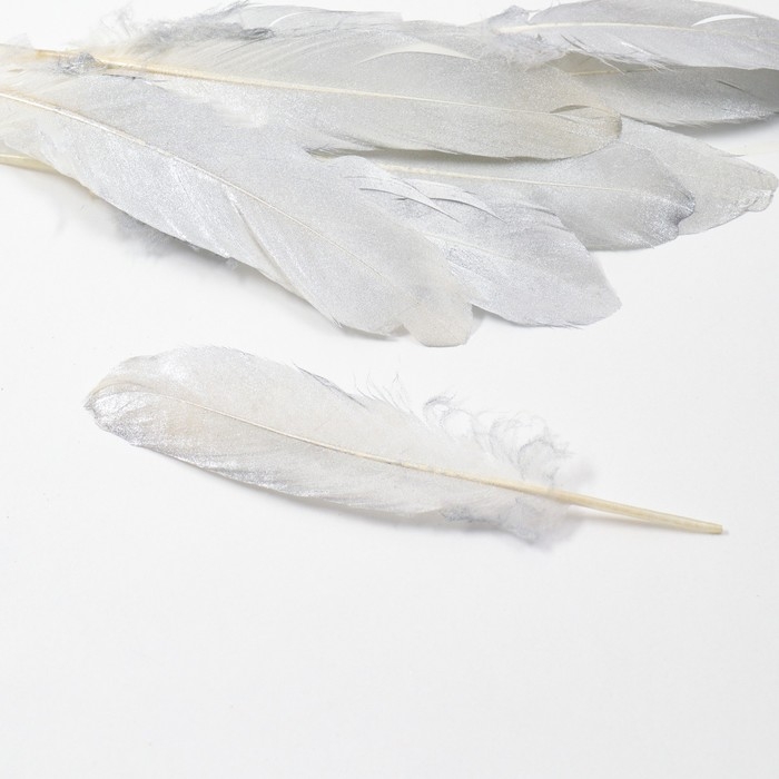 Перья для декора, серебро полная окраска , 13-15 см 10 шт