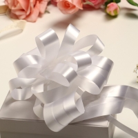 Бант-шар №7 Бант-шар №7