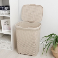 Корзина бельевая с крышкой &laquo;Ротанг&raquo;, 60 л, 34&times;44&times;55 см, цвет латте