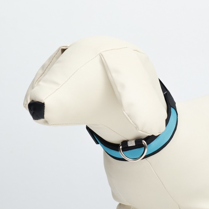 Ошейник с подсветкой Flash 3 режима свечения размер S, ОШ 35-43 х 2,5 см синий