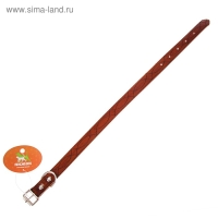 Ошейник с основой из термопластичной резины, тисненый, 48 х 2 см, микс цветов Ошейник с основой из термопластичной резины, тисненый, 48 х 2 см, микс цветов