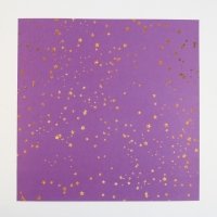 Набор бумаги для скрапбукинга &laquo;Яркая геометрия&raquo;, 12 листов, 30.5 х 30.5 см, 180 г/м&sup2;