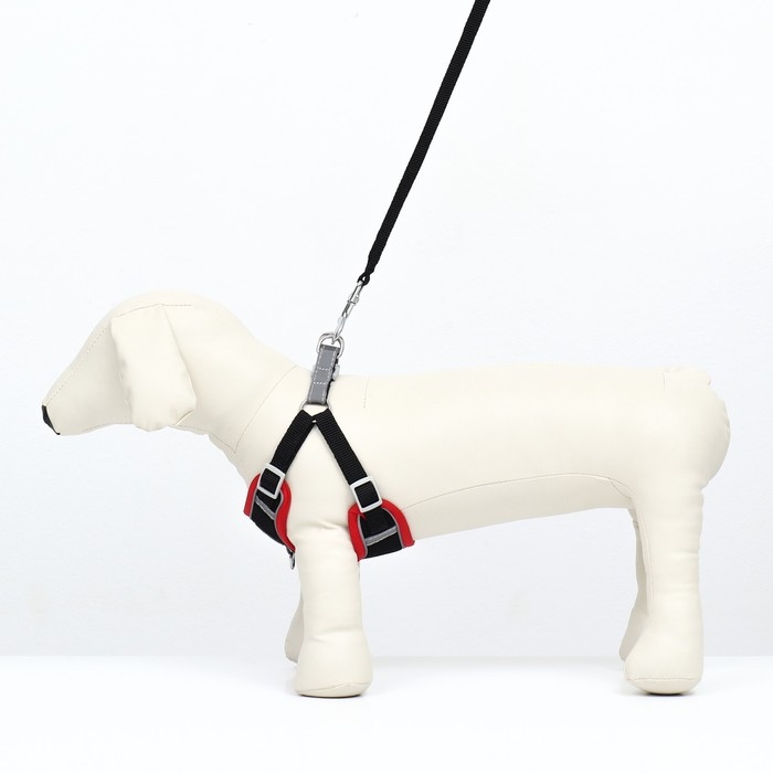 Комплект Sport+, S, поводок 120 x1 ,5 см, ОШ 39-41 см, ОГ 44-48 см, вес животного 7-13 кг, чёрный 9 Комплект Sport+, S, поводок 120 x1 ,5 см, ОШ 39-41 см, ОГ 44-48 см, вес животного 7-13 кг, чёрный 9