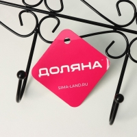 Вешалка на дверь на 5 крючков Доляна &laquo;Вензель&raquo;, 38&times;22,5&times;10 см, цвет чёрный