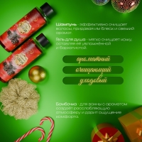 Новогодний подарочный набор косметики &laquo;Снежное царство&raquo;, с ароматом хвои и корицы. Красная серия