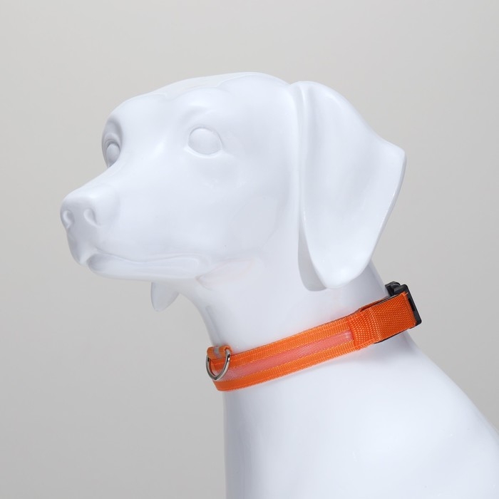 Ошейник с подсветкой размер L, ОШ 45-52 х 2,5 см, 3 режима свечения оранжевый Ошейник с подсветкой размер L, ОШ 45-52 х 2,5 см, 3 режима свечения оранжевый