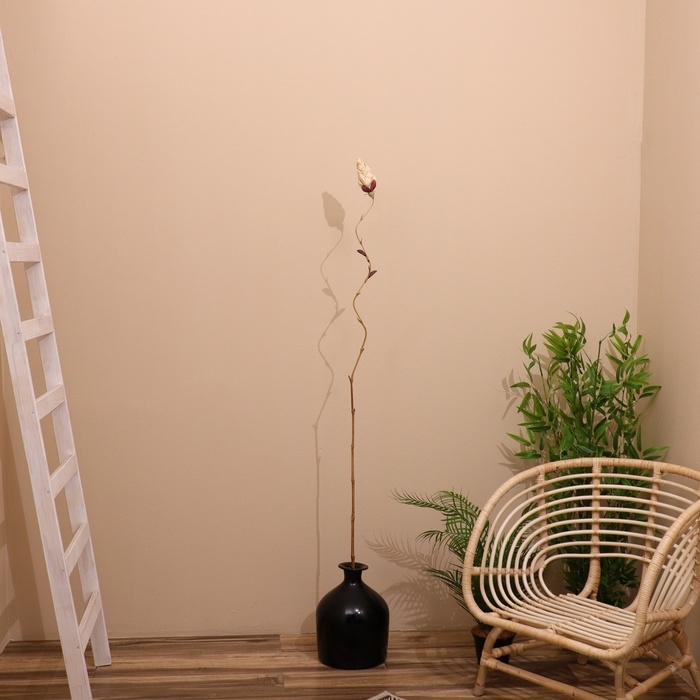 Сухоцвет на бамбуковом стебле 150 см белый Сухоцвет на бамбуковом стебле 150 см белый